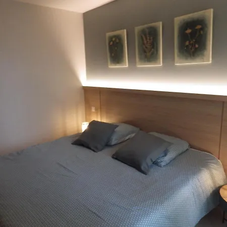 Rottaro Luxueux 2 Ch 2 Sdb Face A La Κάννες